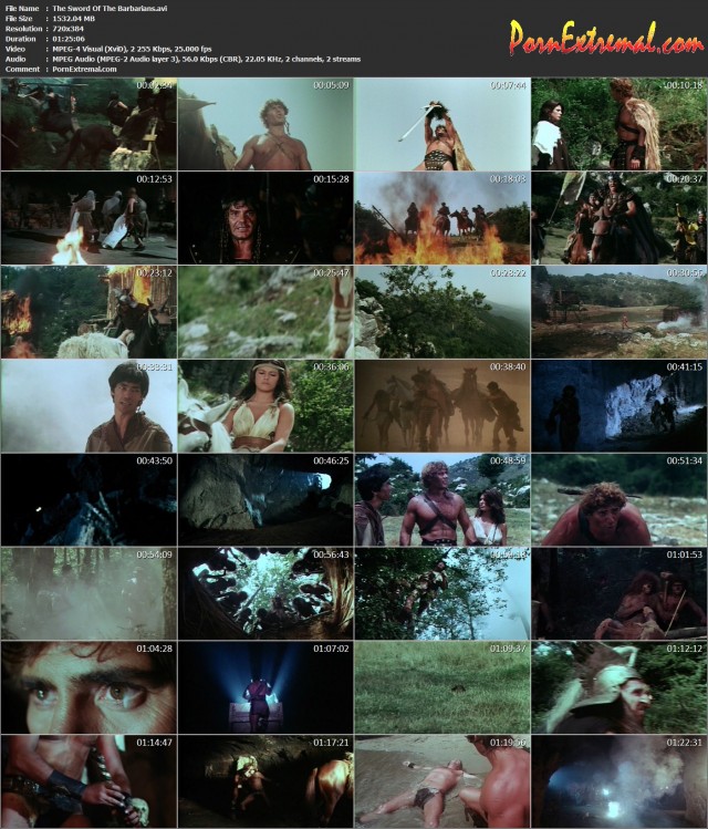 The Sword Of The Barbarians (2)