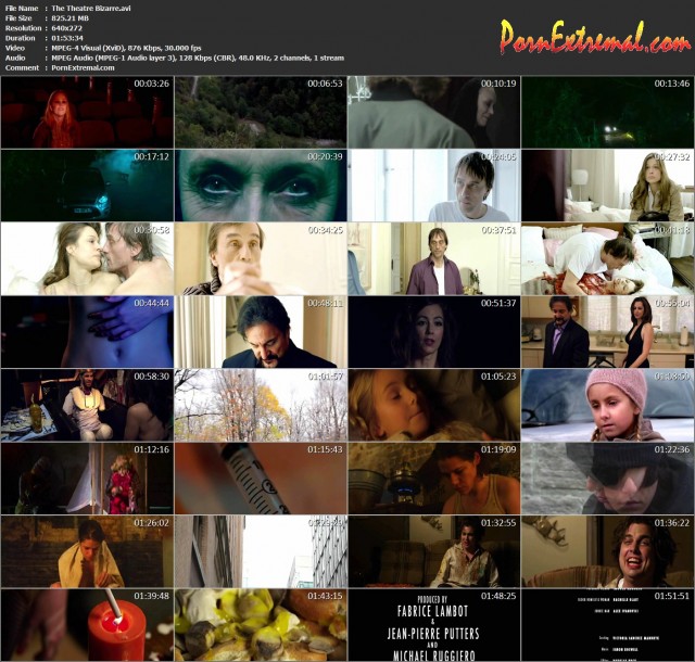 The Theatre Bizarre (2)