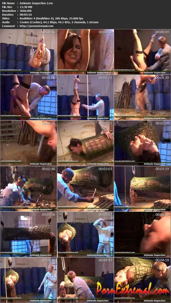 Intimate Inspection 2