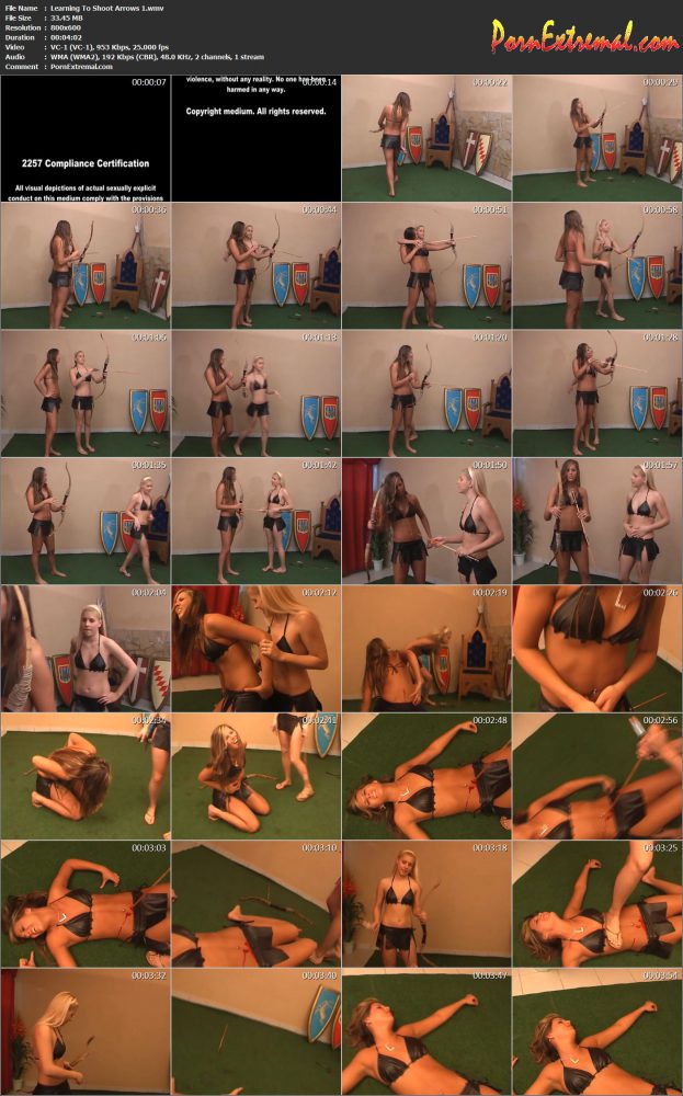 SusyFight - Learning To Shoot Arrows 1