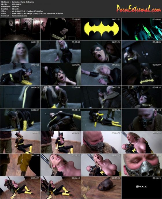 Darkwing_Flying_Solo