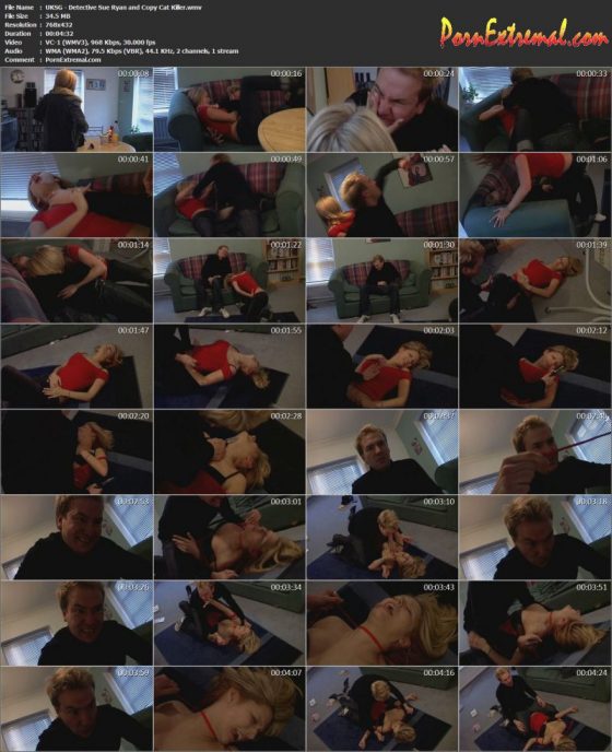 UKSG - Detective Sue Ryan and Copy Cat Killer