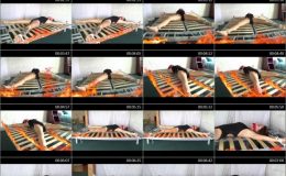 Seductive Studio - ROAST DAPHNE