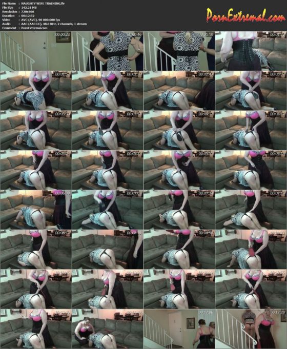 NAUGHTY WIFE TRAINING