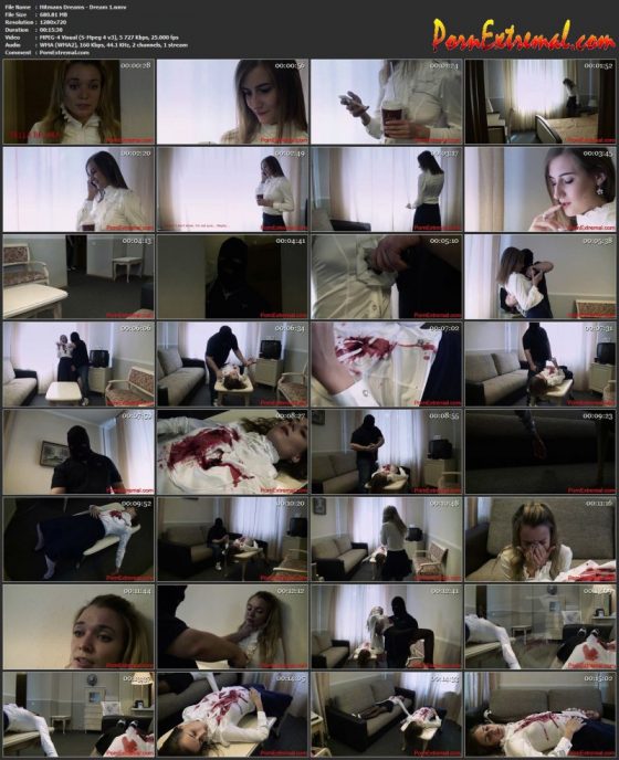 Hitmans Dreams - Dream 1 screen