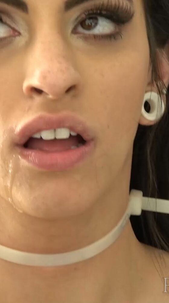 Psycho-Thrillers - Harpie Vs The Punisher