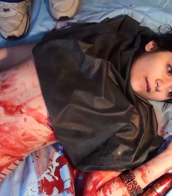 Inshadow - The Boston Strangler The Untold